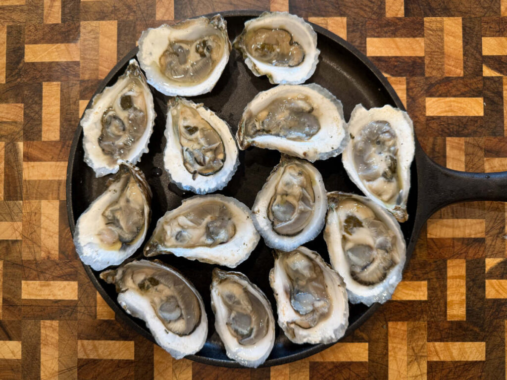 Shucked oysters