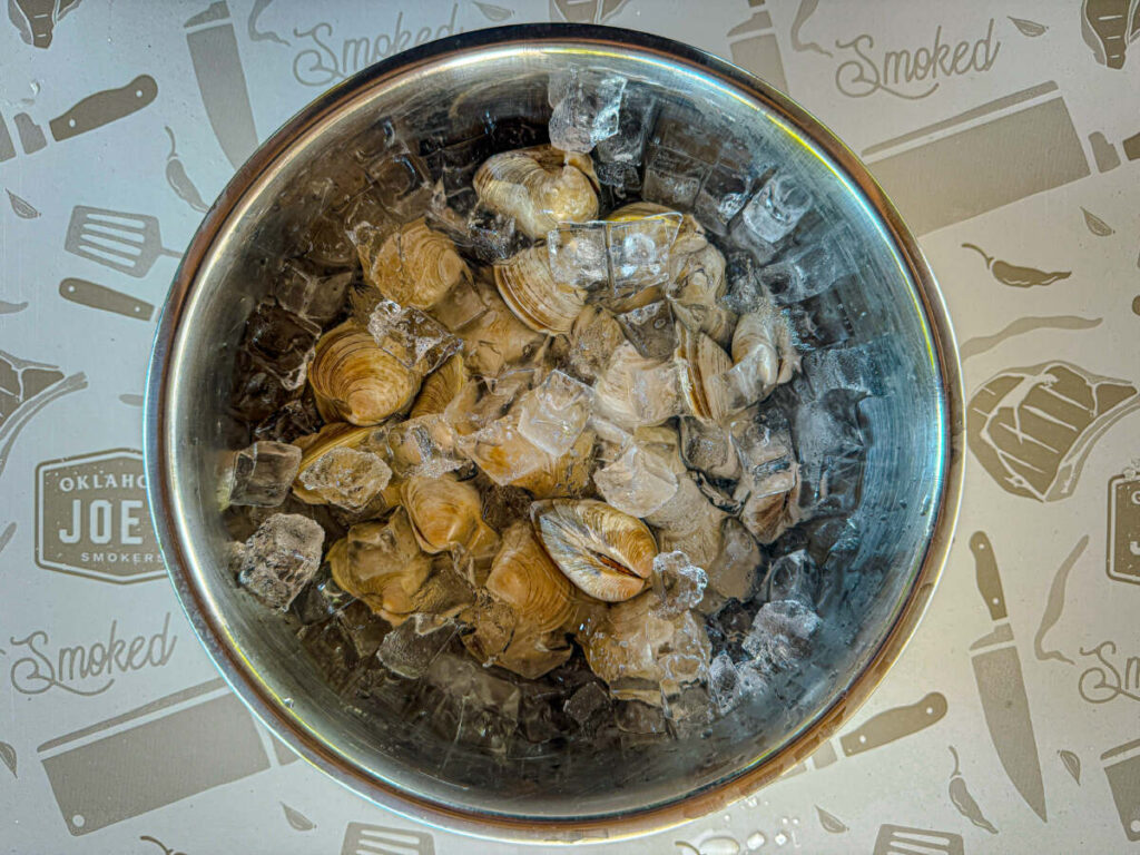 Purged shellfish 