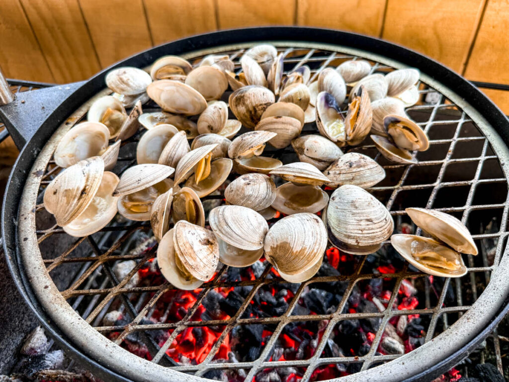 Grilled clams on the grill 