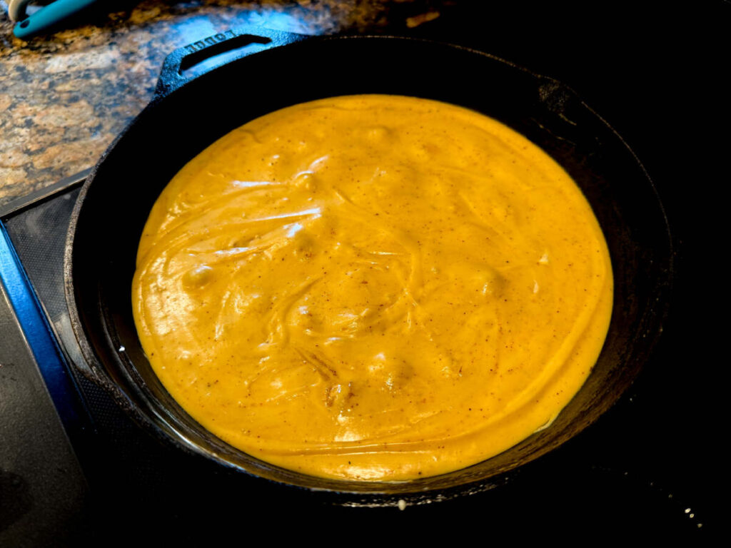Chicken Cheese nachos 
